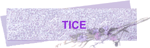 TICE