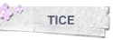 TICE