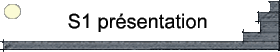 S1 prsentation